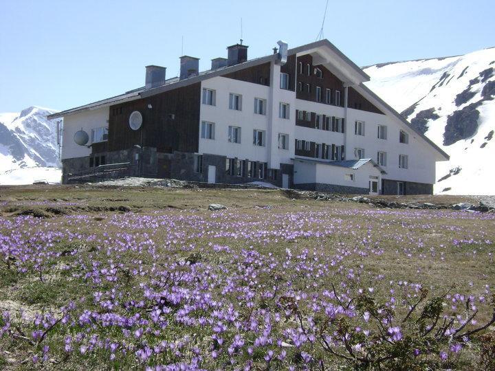 Hôtel Rilski Ezera Hut à Panichishte Extérieur photo