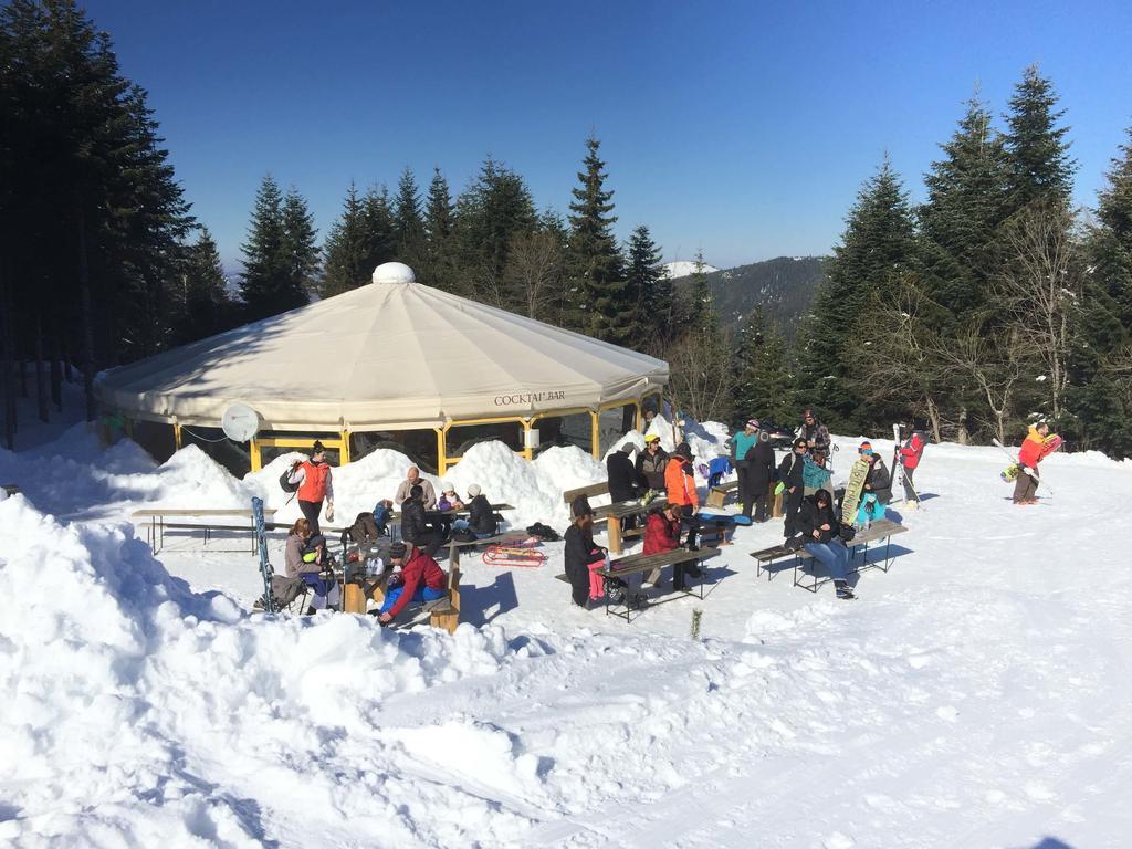 Hôtel Rilski Ezera Hut à Panichishte Extérieur photo